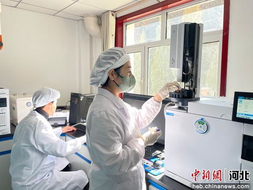 以科技創(chuàng)新為引擎，厚植新質(zhì)生產(chǎn)力發(fā)展根基 河北寬城的技術(shù)開發(fā)之路