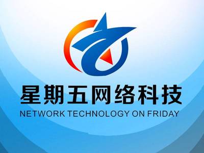 引領(lǐng)未來(lái)，共創(chuàng)數(shù)字新紀(jì)元——XX網(wǎng)絡(luò)科技開發(fā)公司簡(jiǎn)介