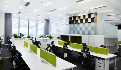 看準(zhǔn)網(wǎng) 網(wǎng)絡(luò)科技開發(fā)的領(lǐng)航者與變革者